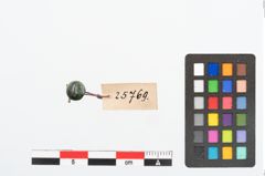 Foto von Bronzeknöpfchen (NHMW-PRAE-025769)